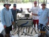 (06/05/2018) - Nice Striped Bass